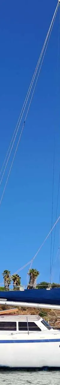 Een witte zeilboot met blauwe strepen ligt in het water, met een groene kustlijn en gebouwen op de achtergrond.