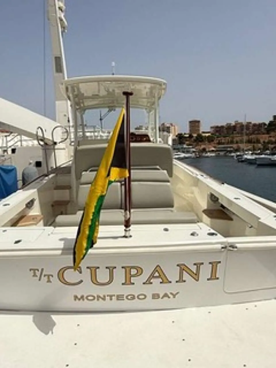 Hunt Surfhunter 33 2018 – Luxe Tender met Yanmar Kracht - Foto 3