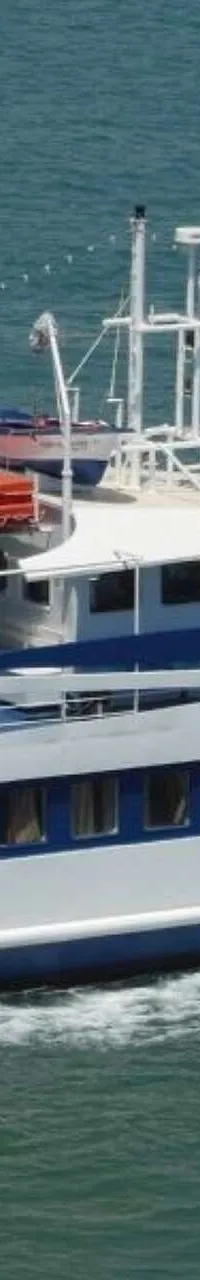 Day Passengers Ship 25 M - Foto 1