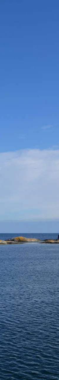 Thumbnail 18