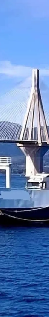 RO/PAX LAND CRAFT FERRY 56 - Foto 2