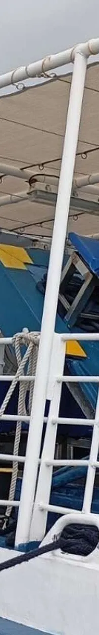 Day Passengers Ship Fjellstrand 26 - Foto 11