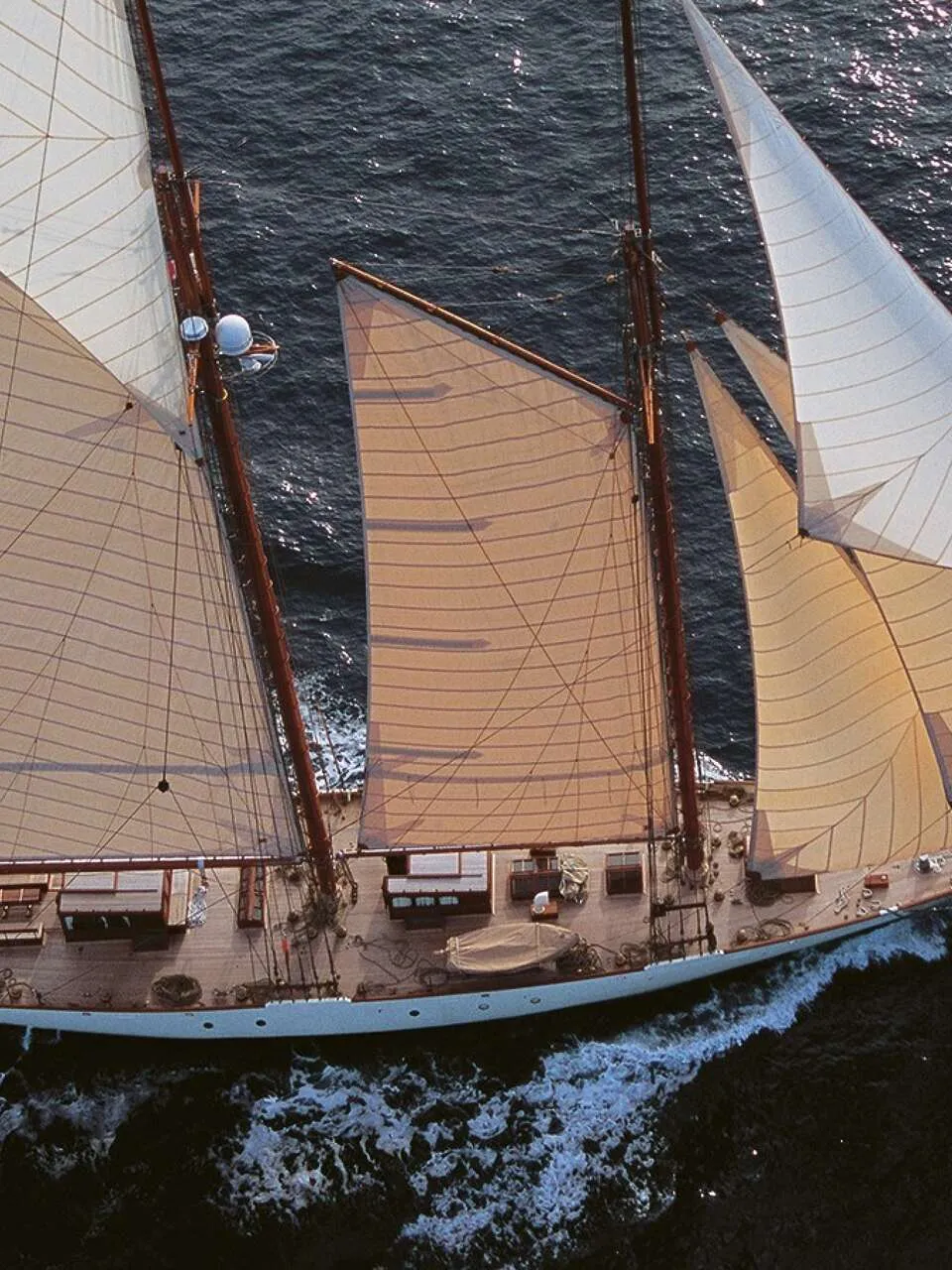 Schoener Klassieke Gaffel 1905 – Transpac Winnaar met Erfgoed - Foto 2