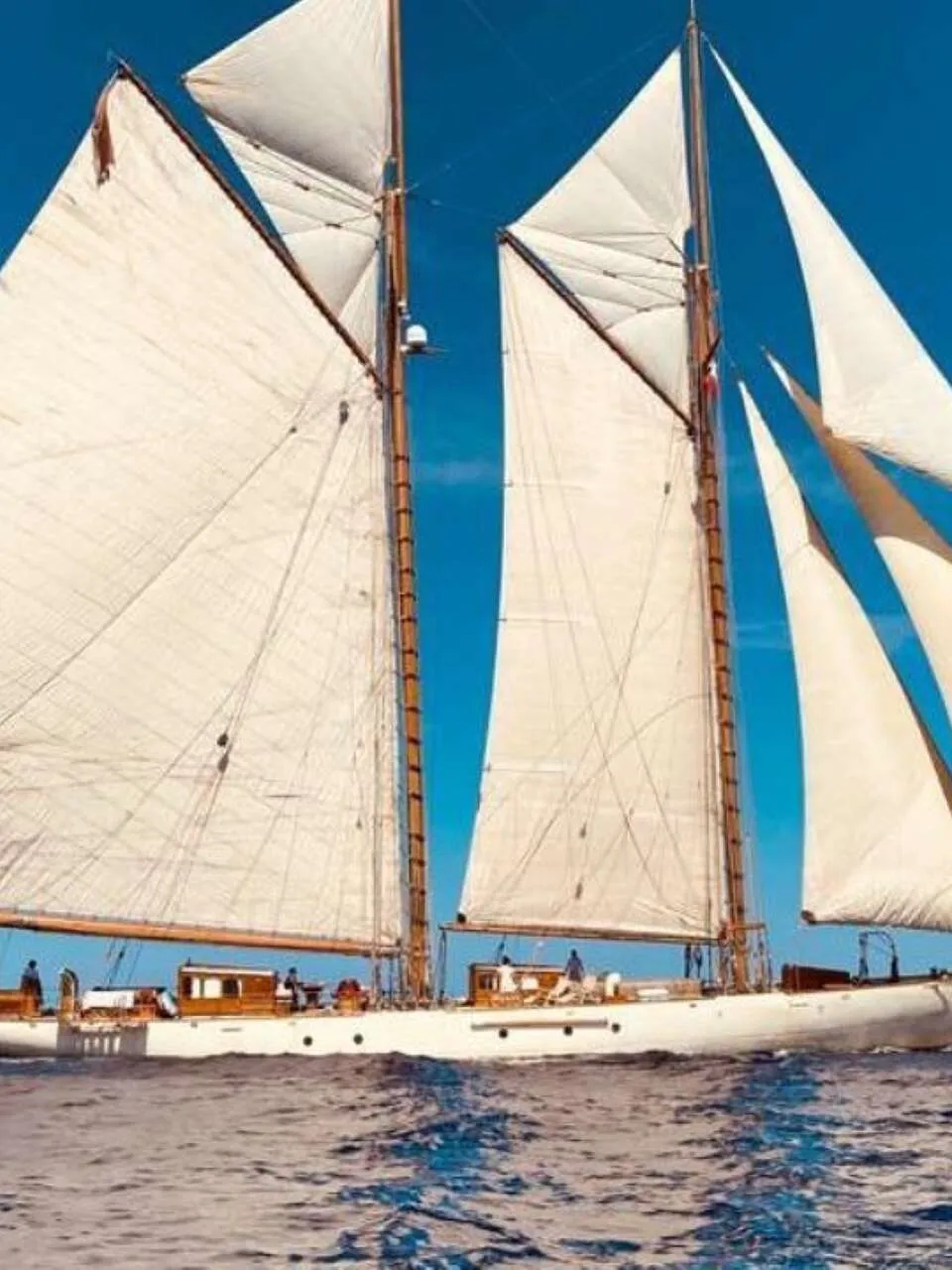 Schoener Klassieke Gaffel 1905 – Transpac Winnaar met Erfgoed - Foto 3