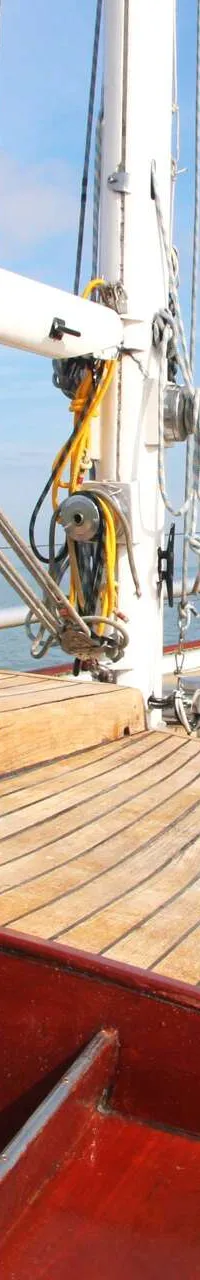 Koopmans 39 - Foto 6