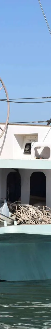 De achtersteven van een lichtblauwe zeilboot met een Nederlandse vlag, stuurwiel en de naam "mahi mahi" op de romp is…
