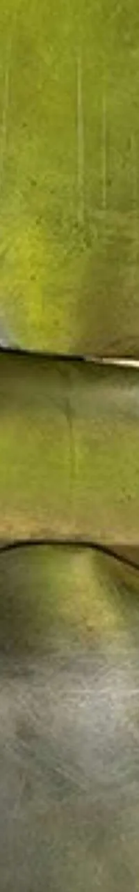 Thumbnail 16