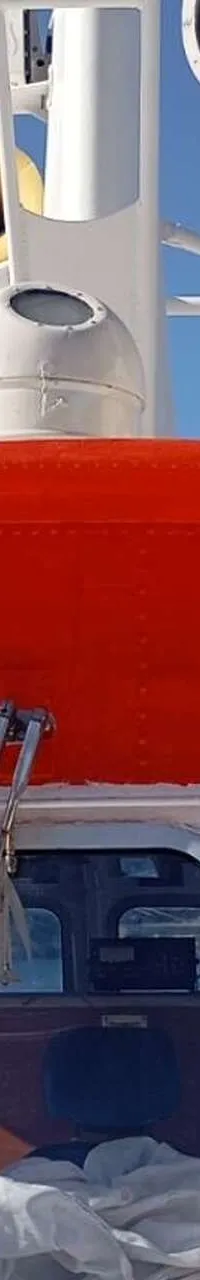 Thumbnail 19