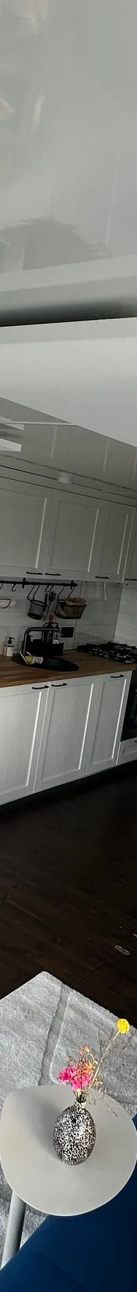 Nordic Season NS 40 Eco 2026 – Duurzame Finse houseboat - Foto 6