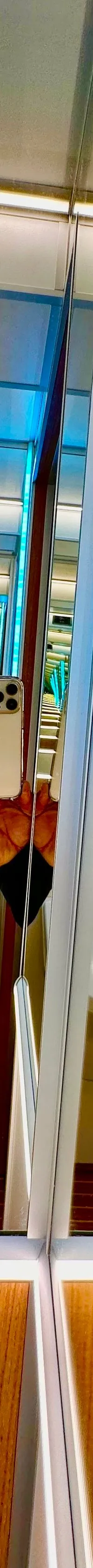 Holiday Boat Sundeck 57 Catamaran 2024 – Professionele rondvaartboot - Foto 8