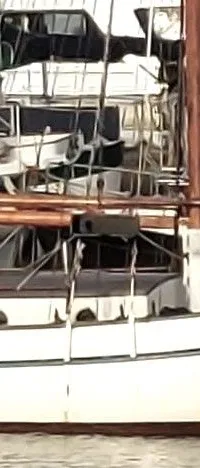 Zeegaand Zeilschip Galjas 1978 – Houten s-spant met achterspiegel - Foto 1