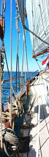 Zeegaand Zeilschip Galjas 1978 – Houten s-spant met achterspiegel - Foto 6