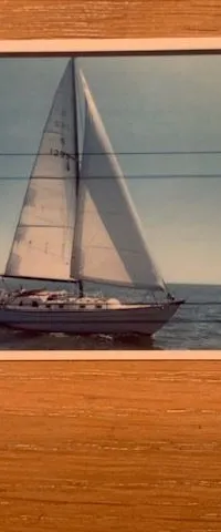 Classic Sailing Yacht Bacchant IV 1967 – S-Spant polyester - Foto 10
