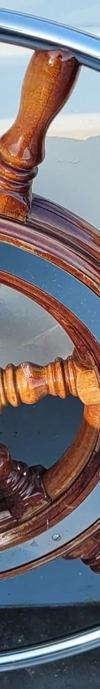 Thumbnail 19