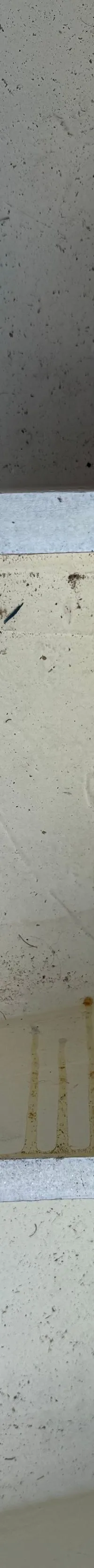 Thumbnail 21