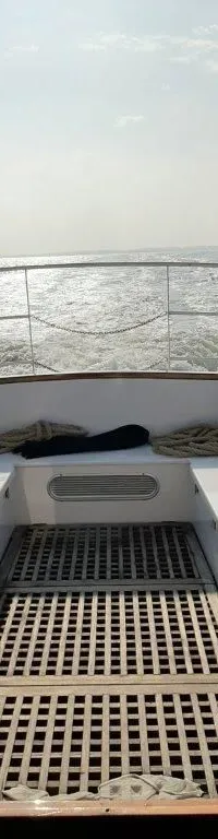Nelson Halmatic Pilot 40 FT 1974 – Ex-loodsvaartuig voor groot water - Foto 11