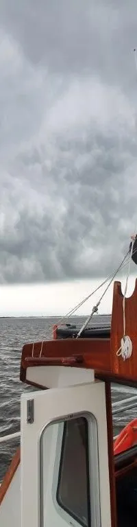 Nelson Halmatic Pilot 40 FT 1974 – Ex-loodsvaartuig voor groot water - Foto 7