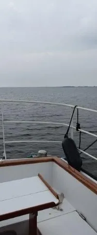 Nelson Halmatic Pilot 40 FT 1974 – Ex-loodsvaartuig voor groot water - Foto 10