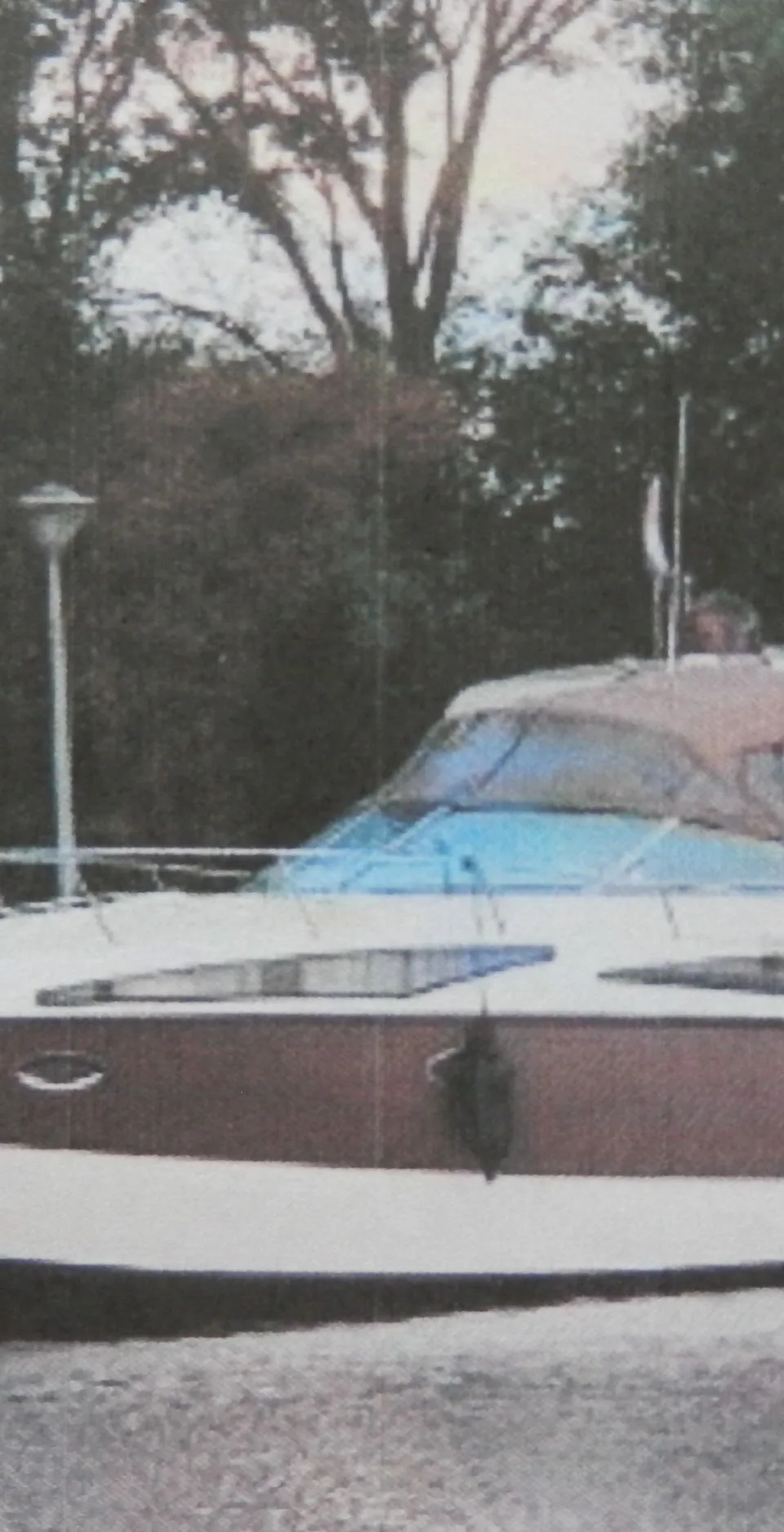 Bayliner 325 SB - Foto 2