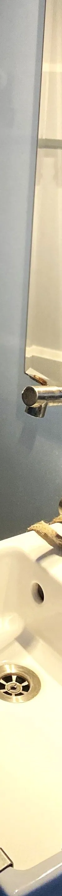 Skutsje Varend Woonschip 19.98 - Foto 23