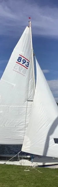 Een witte zeilboot met nummer 893 op het grootzeil ligt aan een groene oever, met een persoon in de kuip. — Randmeer Advance.