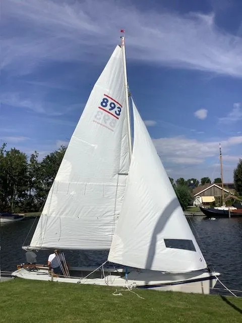 Een witte zeilboot met nummer 893 op het grootzeil ligt aan een groene oever, met een persoon in de kuip. — Randmeer Advance.