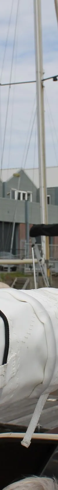 Thumbnail 22