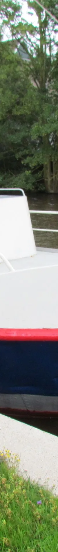 Een witte boot met een blauwe romp en rode accenten, genaamd "ORCA", ligt aangemeerd aan een kade met groen gras.