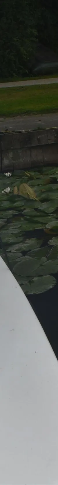 Een witte boot ligt aangemeerd naast een houten steiger, omringd door waterlelies in het water. — 820C Steilsteven