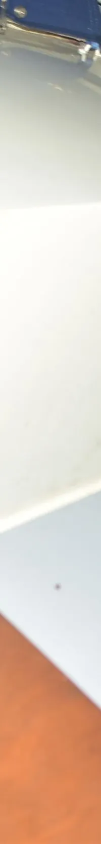Thumbnail 19
