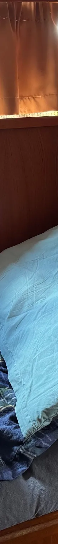 Een kajuit met een bed met een blauw geruit dekbed, twee kussens, houten wanden, ramen met gordijnen en een klok.