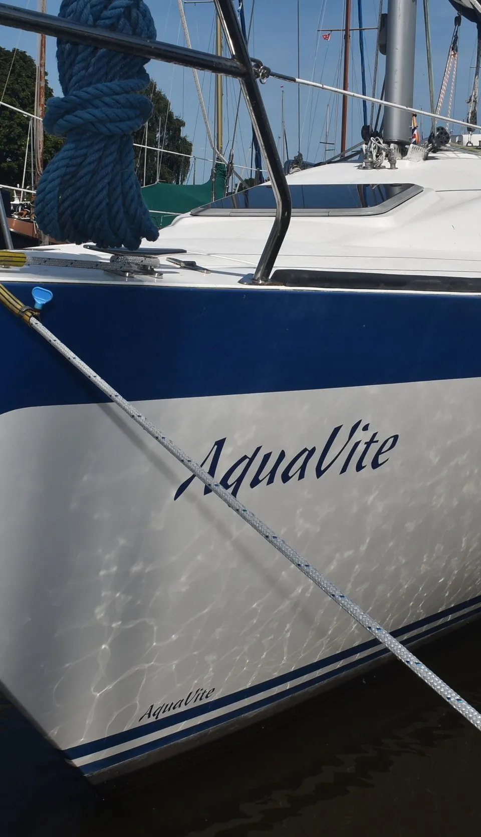 Aquavite 26 - Foto 3