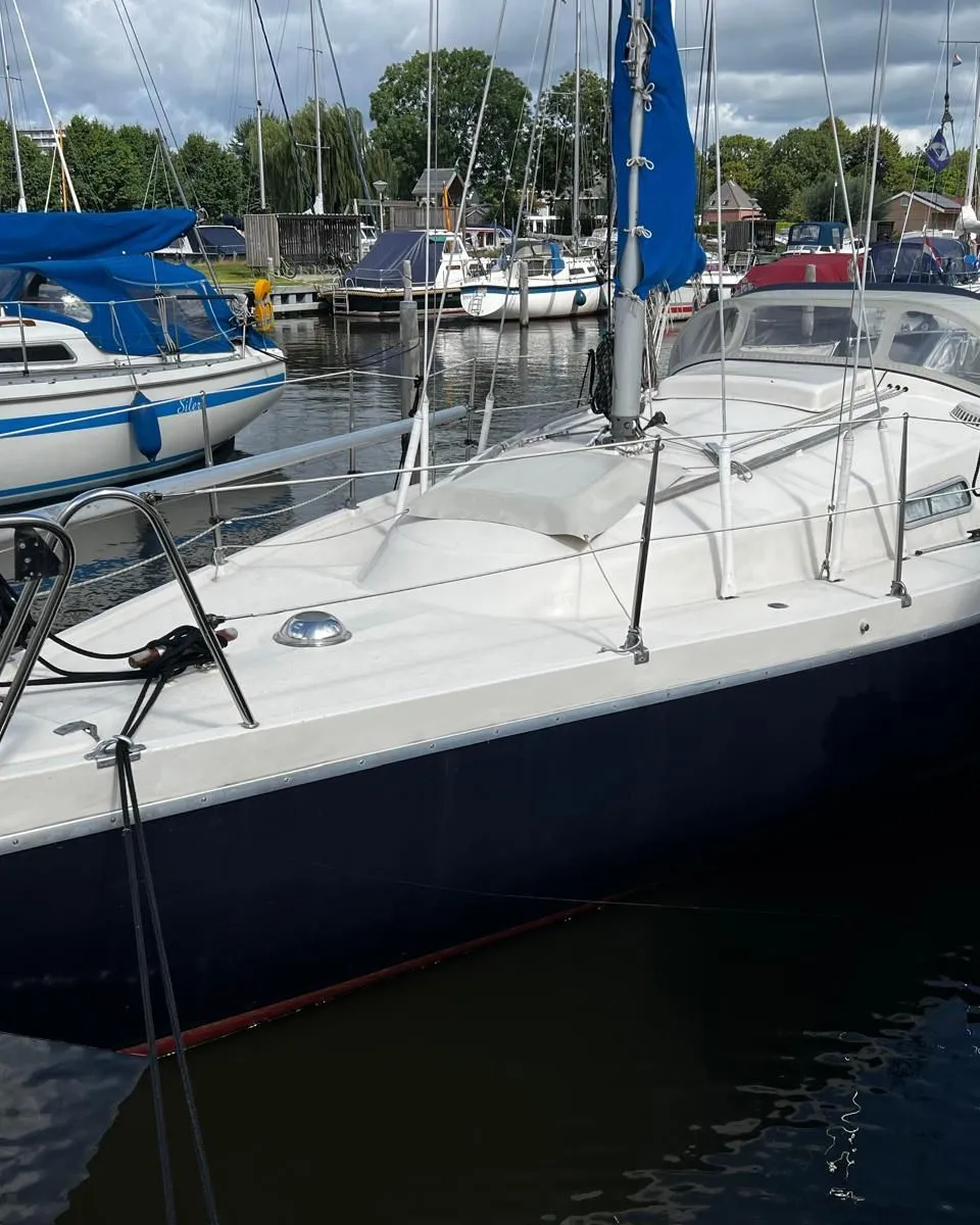 Een zeilboot met een donkerblauwe romp en wit dek ligt in een jachthaven, omringd door andere boten. — Arabesque 30
