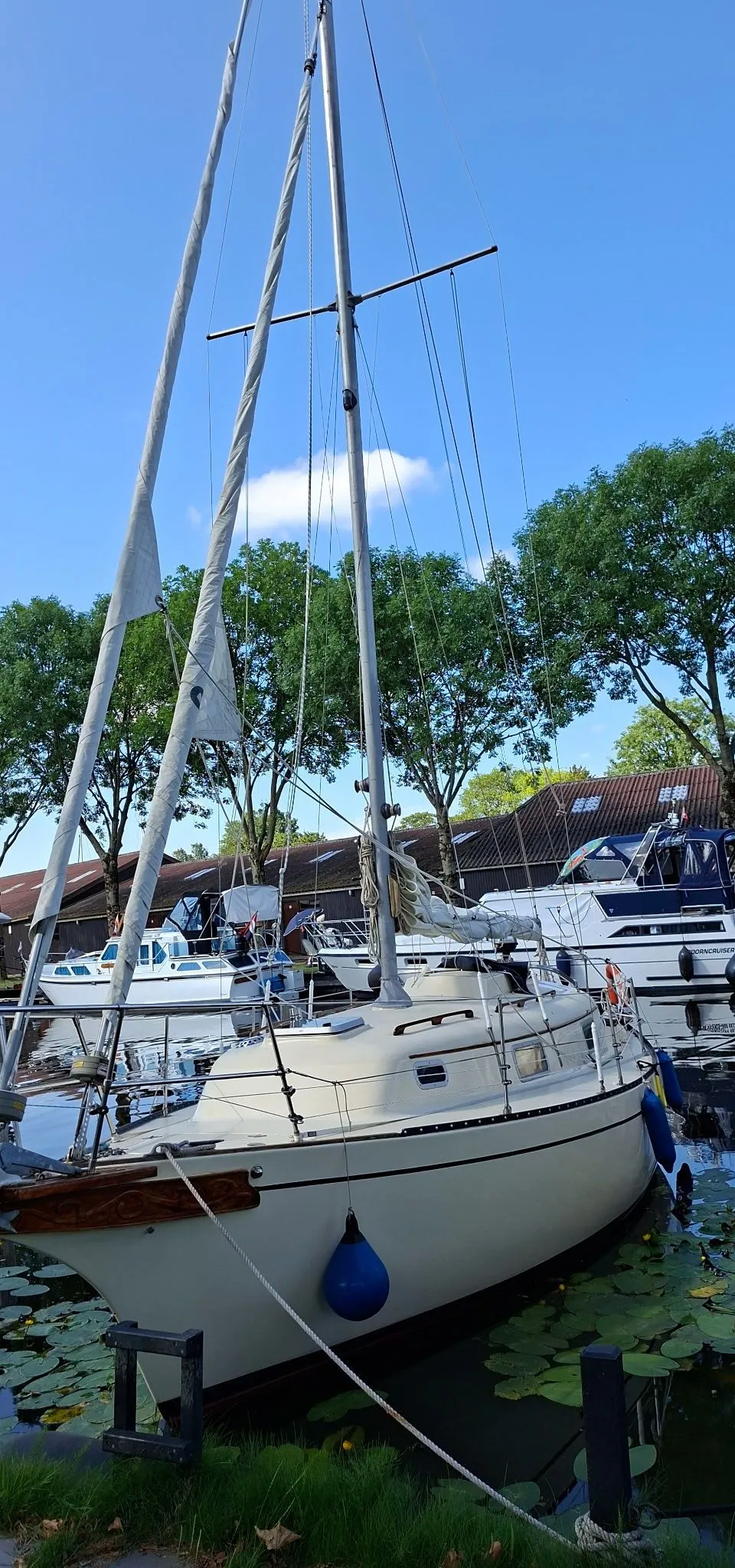 Bayfield 29 (1981) – klassieke kajuitzeiler Sneek - Foto 3