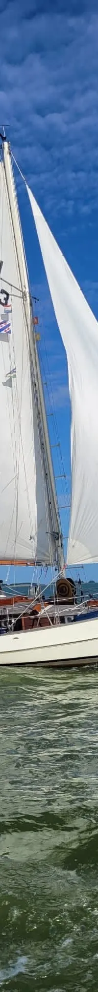 Nienke 10.75 uit 1965 – klassiek stalen zeilschip - Foto 2