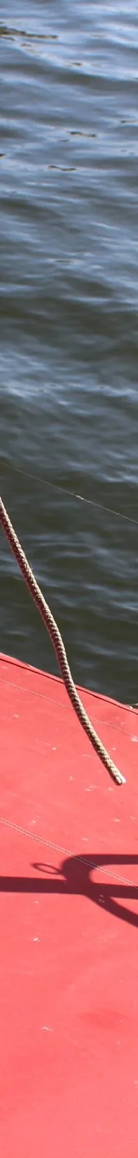 Dehler 28 - Foto 13