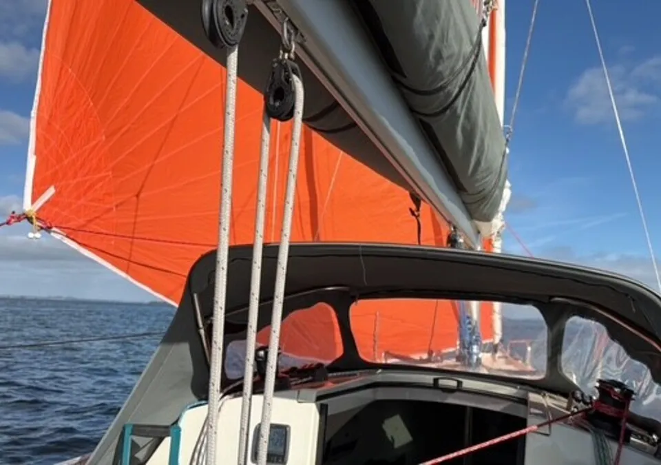 Pointer 25 (2015) – sportieve daysailer met ondiepe kiel - Foto 3