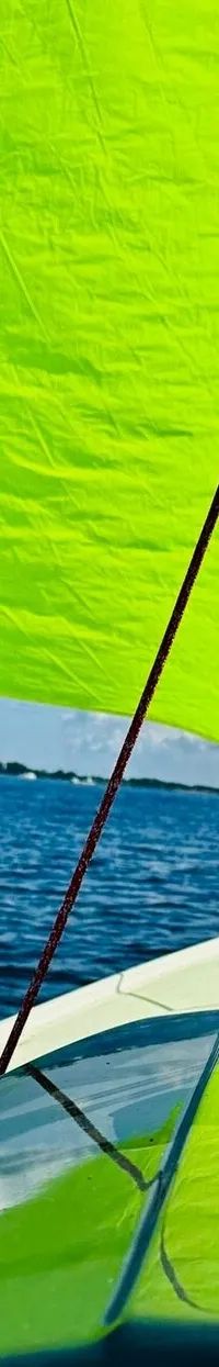 Pointer 22 (2022) – sportieve daysailer met hefkiel - Foto 3