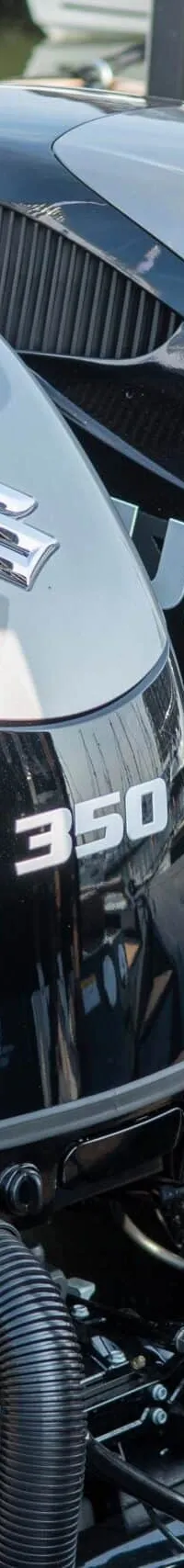 Thumbnail 22