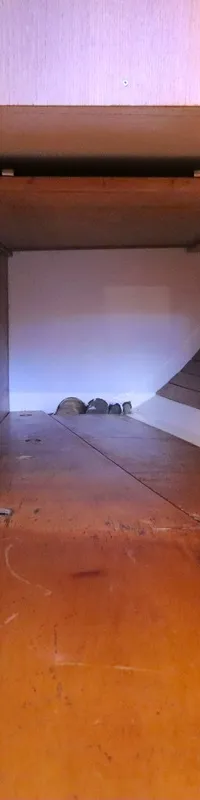 Een houten interieur van een boot met een vloer, zijwanden en een plafond, met een plankje aan het plafond. — Luffe 46