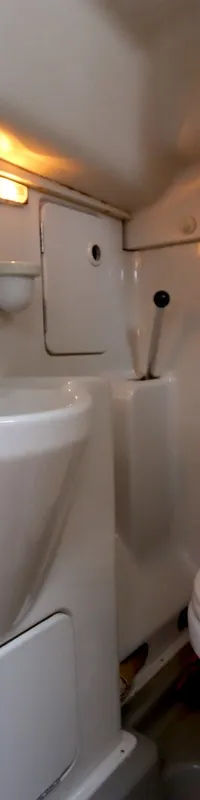 De foto toont een compacte, witte badkamer met een wastafel, een toilet en een douchekop.