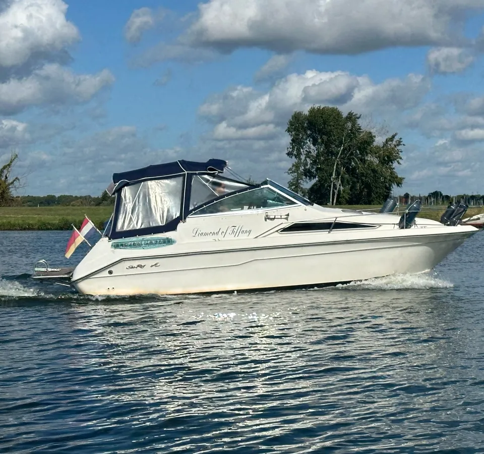 Sea Ray 220DA 1990 – Compacte daycruiser met hut - Foto 1