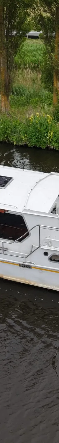 Een witte boot met gele strepen vaart op donker water, omringd door groen gras en bomen.