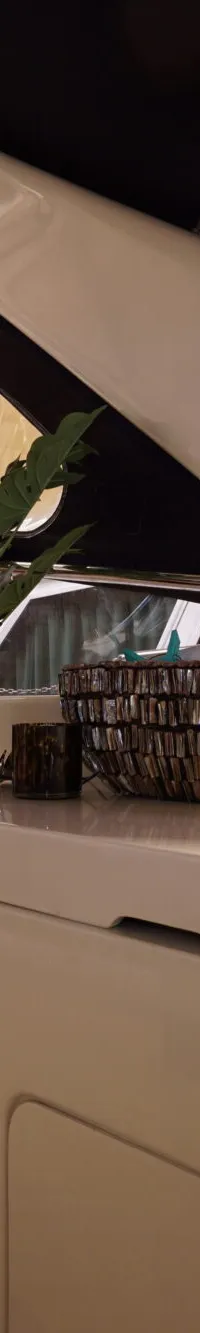De foto toont een interieur van een boot met een witte stuurstoel, een stuurwiel, en een wit meubelstuk met planten en…