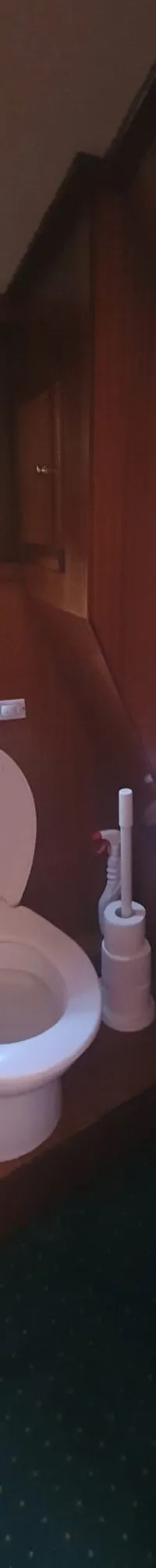 Thumbnail 22