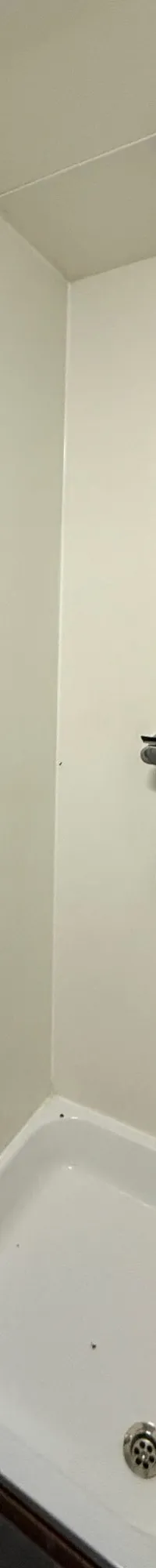 Een witte douchecabine met een chromen douchekop, mengkraan en afvoerputje.