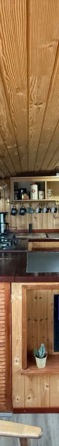 De foto toont het interieur van een boot met houten wanden en plafond, een keukenblok, een tv en een raam met uitzicht op…