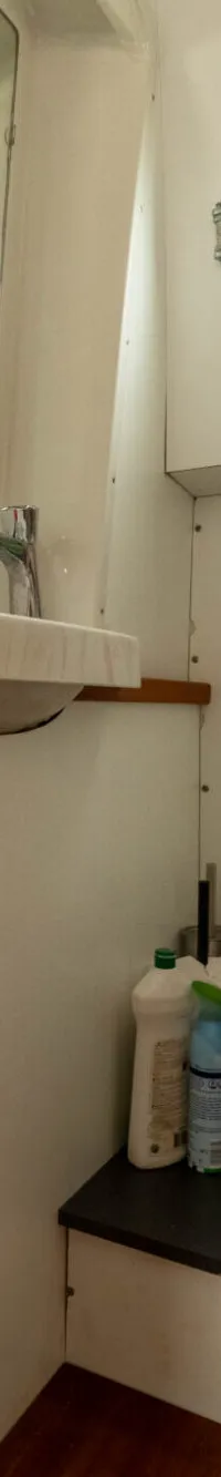De foto toont een kleine badkamer met een toilet, wastafel, spiegel, patrijspoort en een decoratie van papegaaien.
