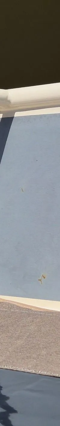 Thumbnail 20