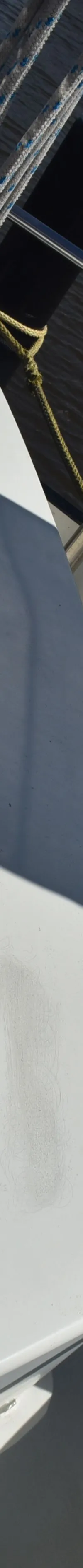 Thumbnail 24